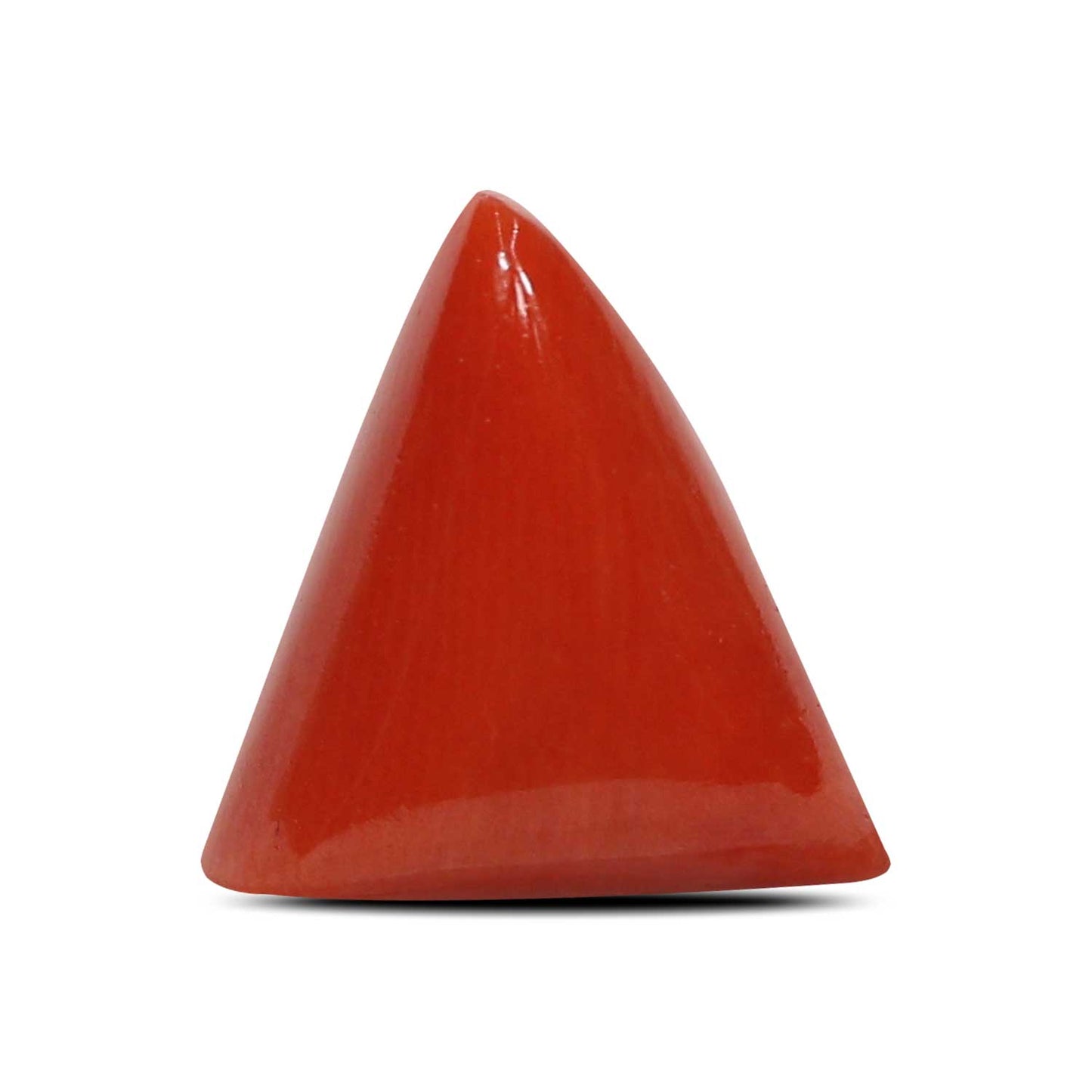 Red Coral (Moonga) - 5.91 Carat