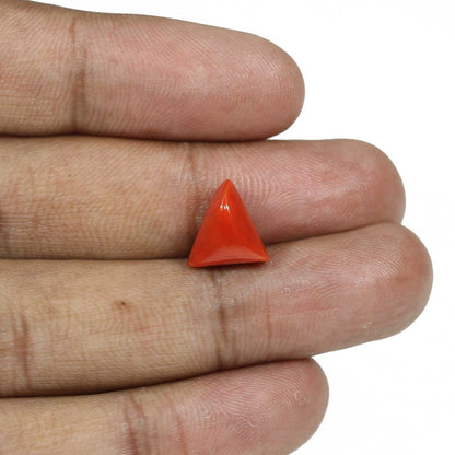 Red Coral (Moonga) - 5.91 Carat