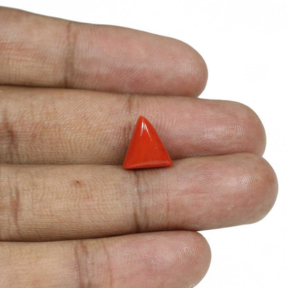 Red Coral (Moonga) - 5.91 Carat
