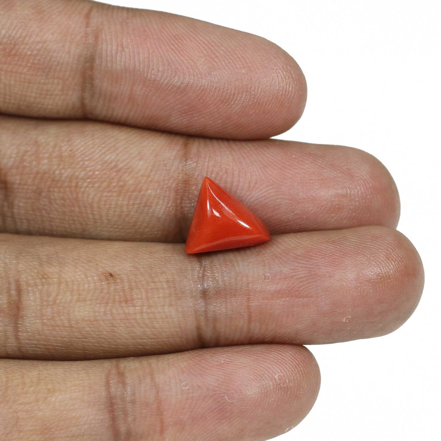 Red Coral (Moonga) - 5.91 Carat