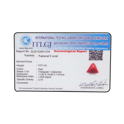 Red Coral (Moonga) - 5.91 Carat