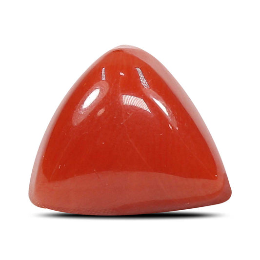 Red Coral (Moonga) - 5.66 Carat