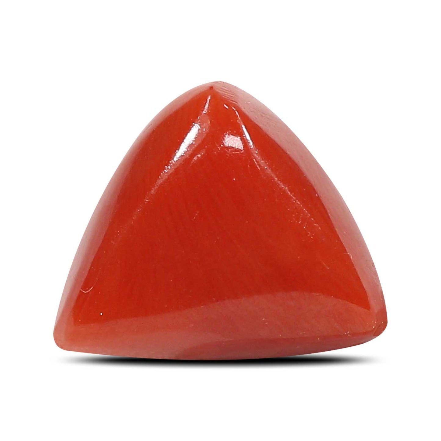Red Coral (Moonga) - 5.66 Carat