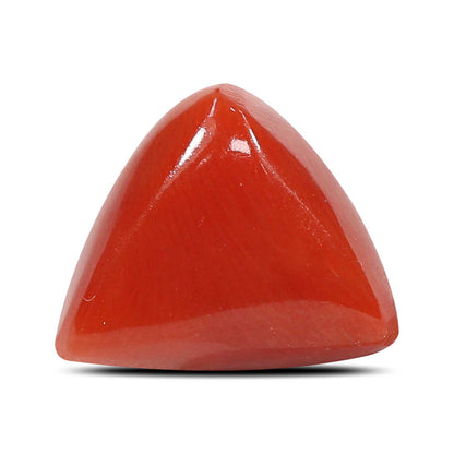 Red Coral (Moonga) - 5.66 Carat