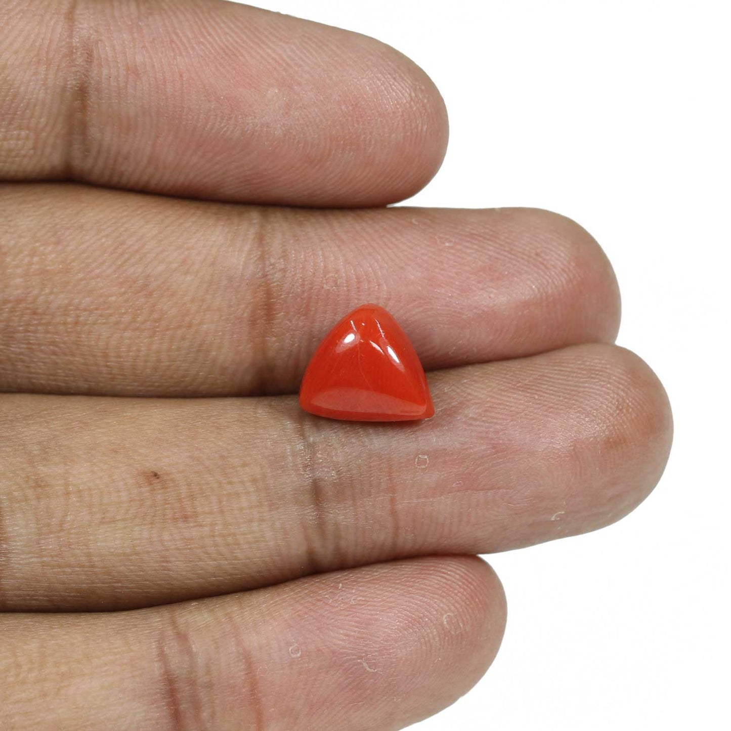 Red Coral (Moonga) - 5.66 Carat