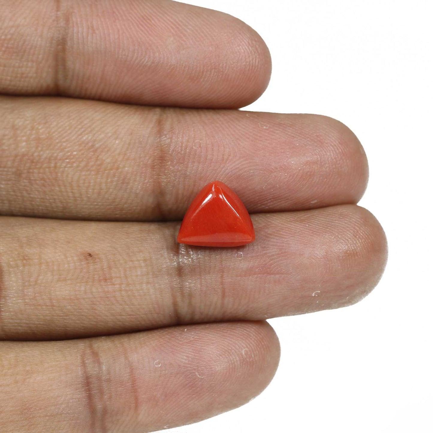 Red Coral (Moonga) - 5.66 Carat