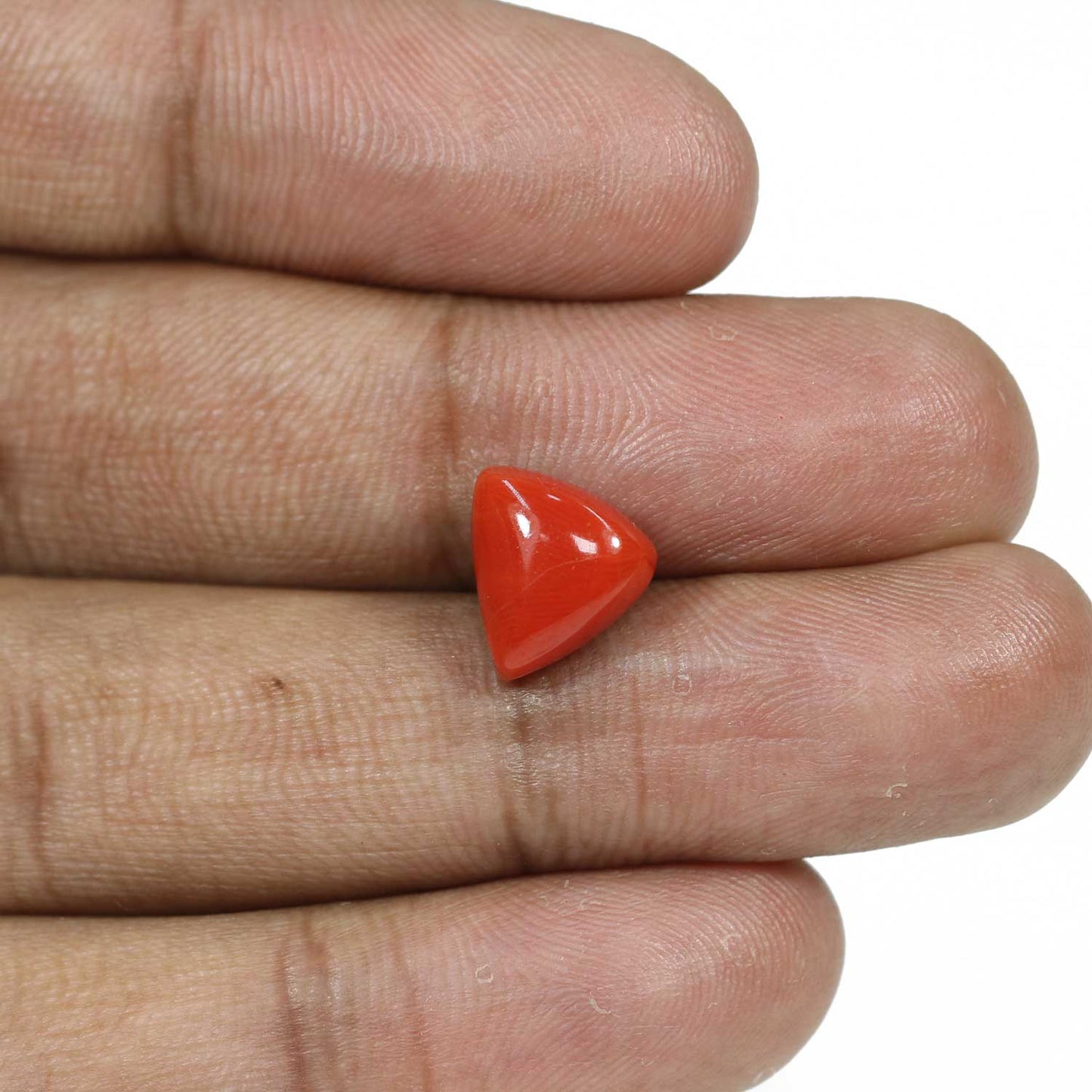 Red Coral (Moonga) - 5.66 Carat