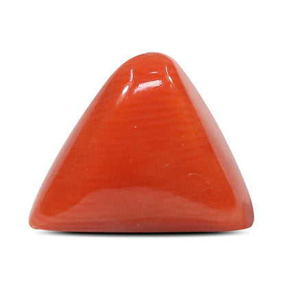 Red Coral (Moonga) - 5.15 Carat