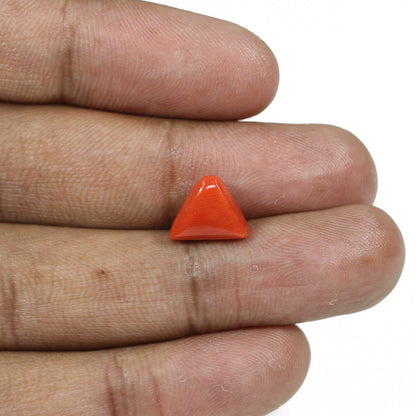 Red Coral (Moonga) - 5.15 Carat