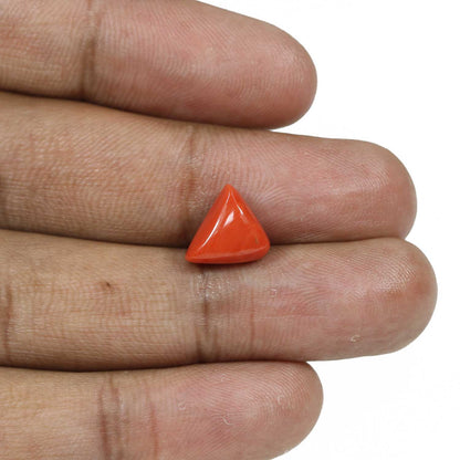 Red Coral (Moonga) - 5.15 Carat