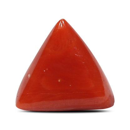 Red Coral (Moonga) - 5.25 Carat
