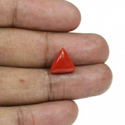 Red Coral (Moonga) - 5.25 Carat
