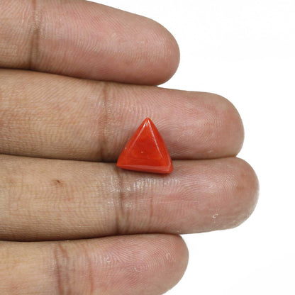 Red Coral (Moonga) - 5.25 Carat
