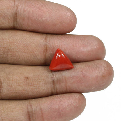 Red Coral (Moonga) - 5.25 Carat