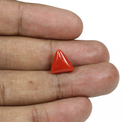 Red Coral (Moonga) - 5.1 Carat