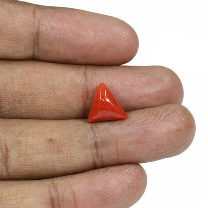 Red Coral (Moonga) - 5.21 Carat
