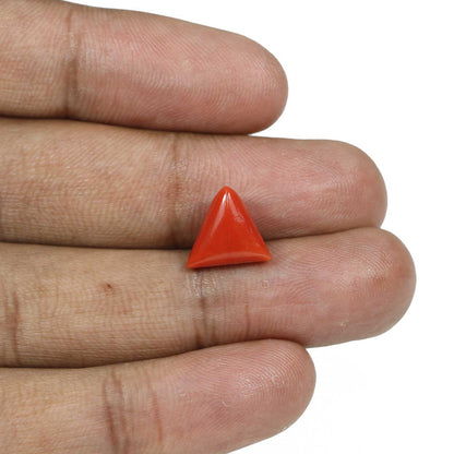 Red Coral (Moonga) - 5.21 Carat