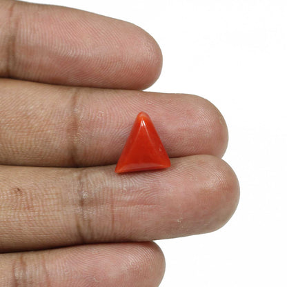 Red Coral (Moonga) - 4.89 Carat