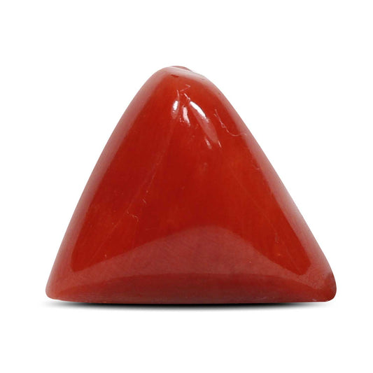 Red Coral (Moonga) - 8.01 Carat