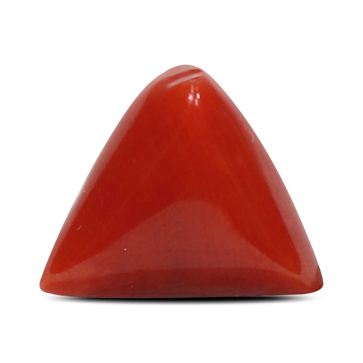 Red Coral (Moonga) - 8.01 Carat