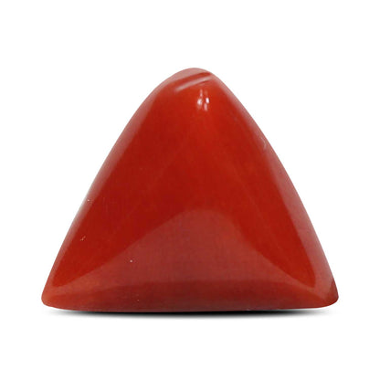 Red Coral (Moonga) - 8.01 Carat
