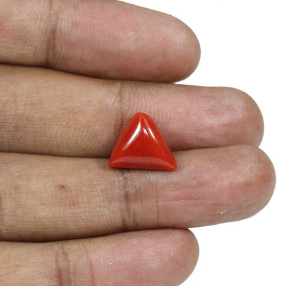 Red Coral (Moonga) - 8.01 Carat