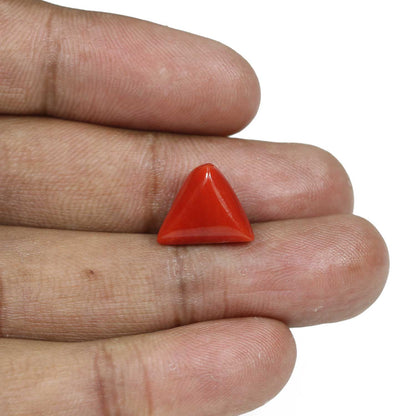 Red Coral (Moonga) - 8.01 Carat