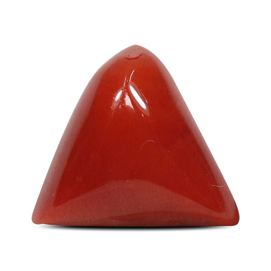 Red Coral (Moonga) - 8.37 Carat