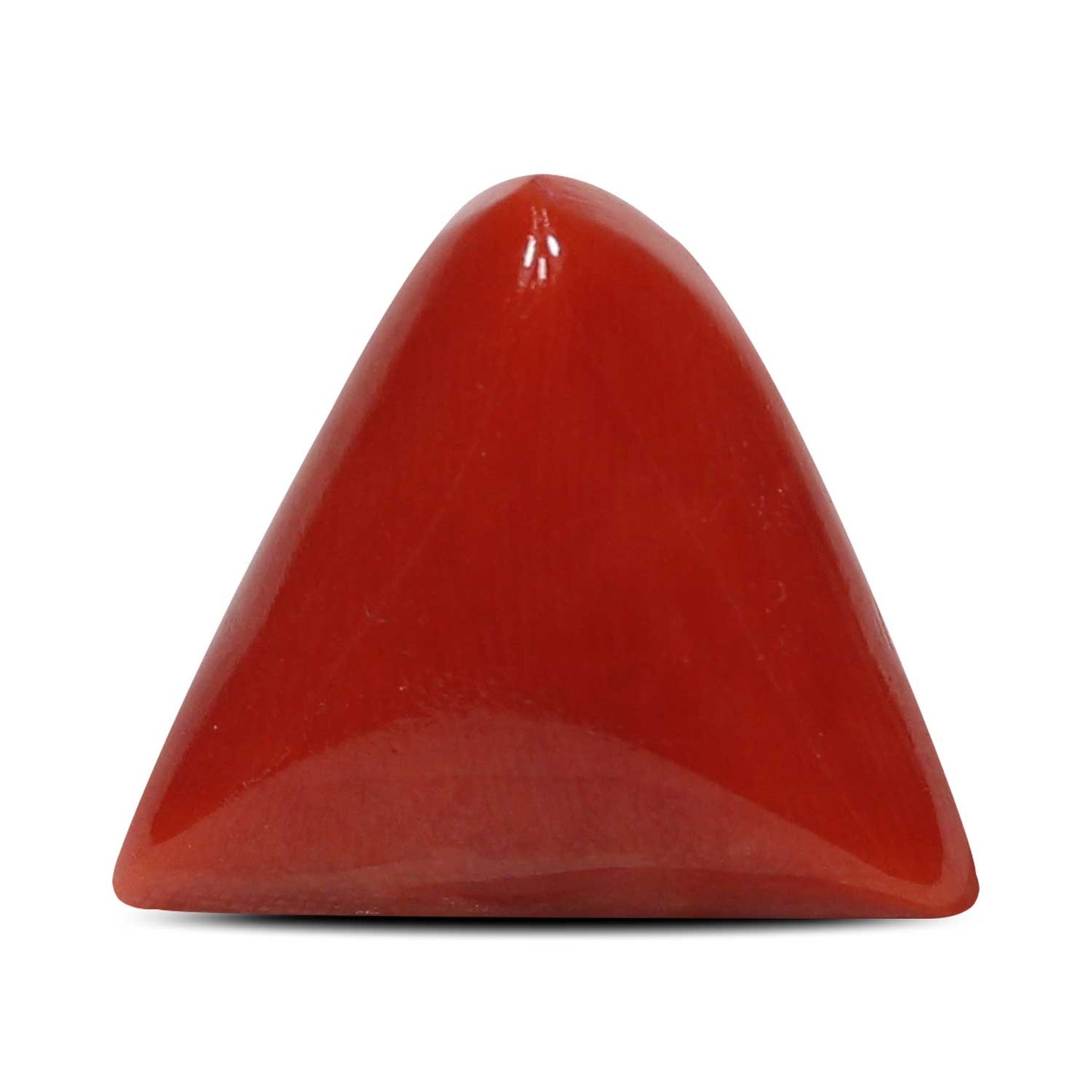 Red Coral (Moonga) - 8.37 Carat