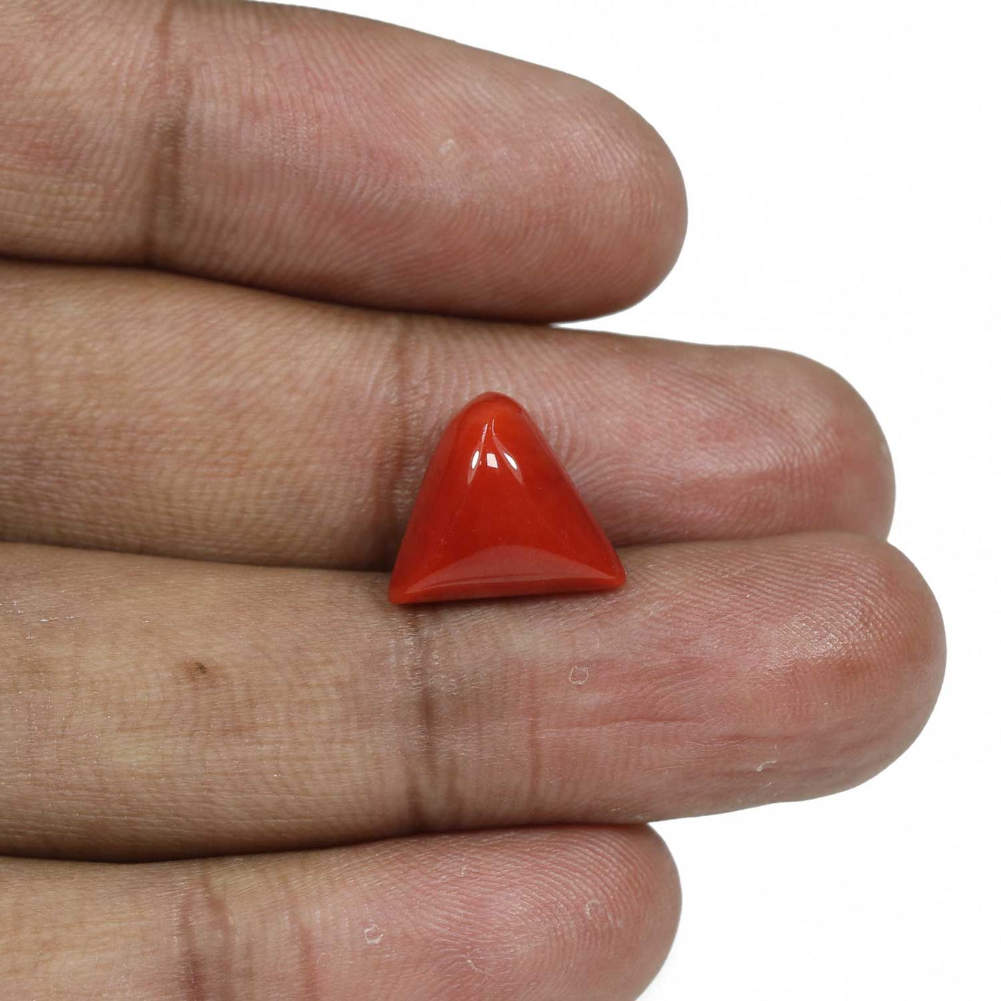 Red Coral (Moonga) - 8.37 Carat