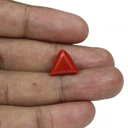 Red Coral (Moonga) - 8.37 Carat