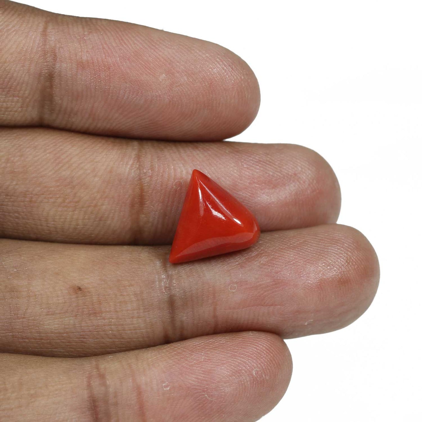 Red Coral (Moonga) - 8.37 Carat