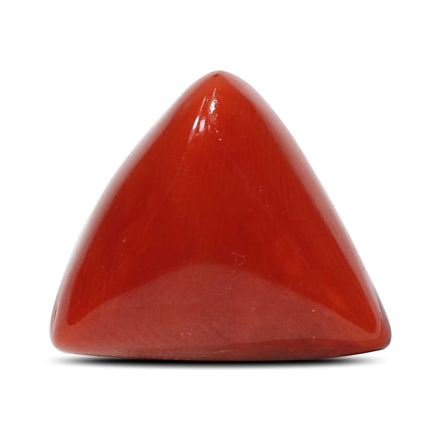 Red Coral (Moonga) - 9.11 Carat