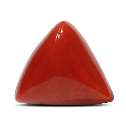 Red Coral (Moonga) - 9.11 Carat