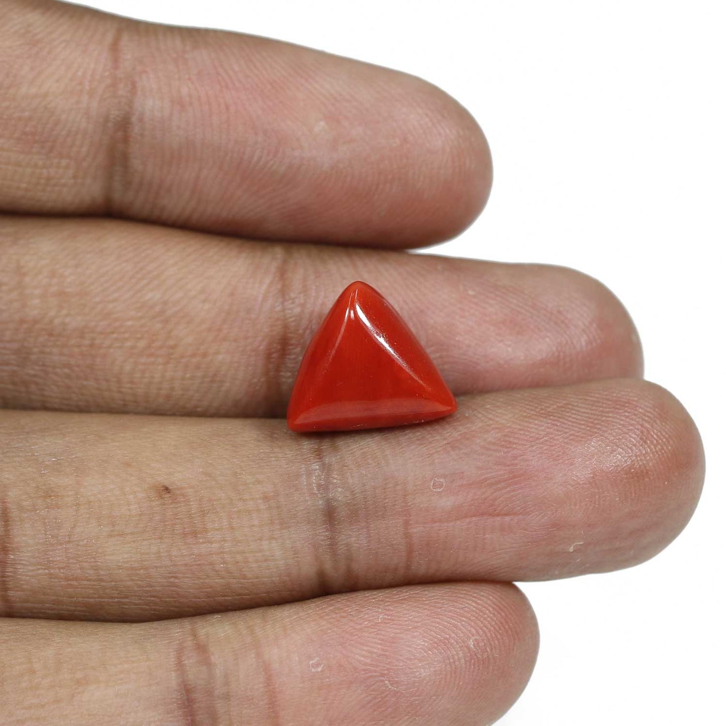 Red Coral (Moonga) - 9.11 Carat