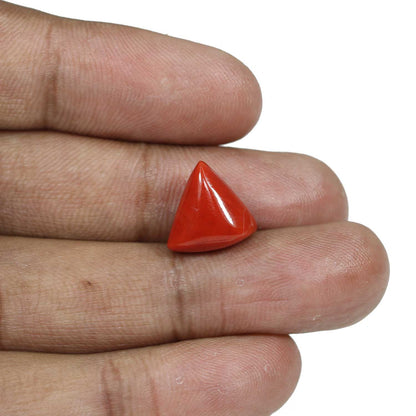 Red Coral (Moonga) - 9.11 Carat