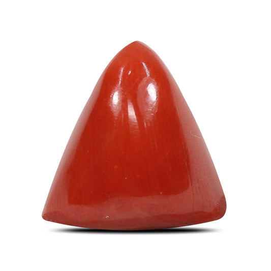 Red Coral (Moonga) - 8.43 Carat