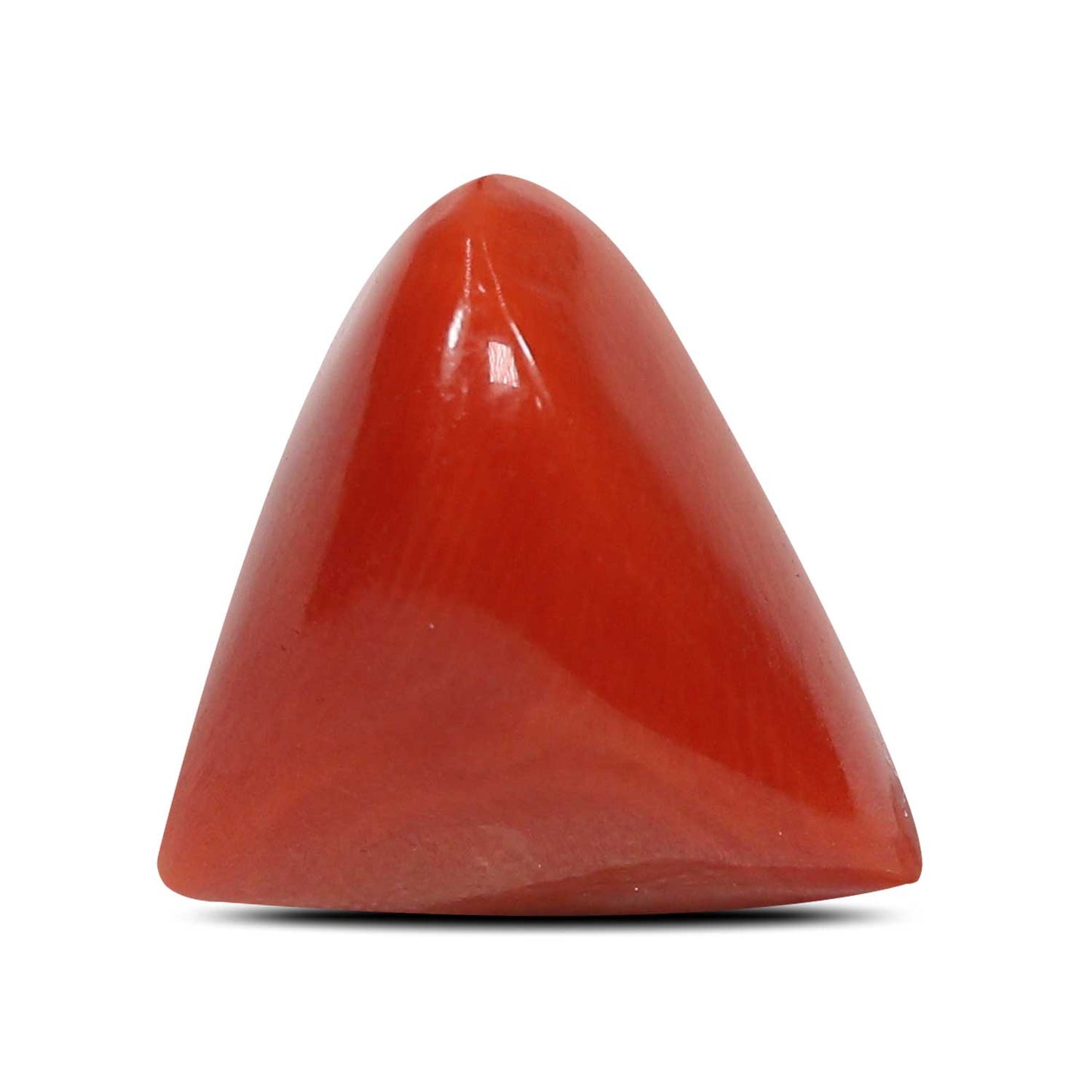 Red Coral (Moonga) - 8.43 Carat
