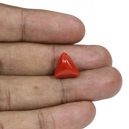 Red Coral (Moonga) - 8.43 Carat