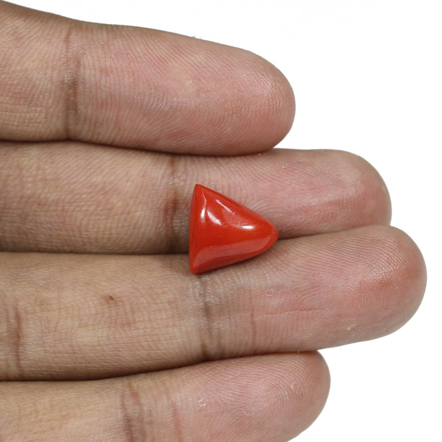 Red Coral (Moonga) - 8.43 Carat