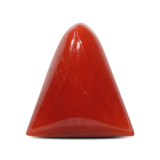 Red Coral (Moonga) - 8.21 Carat