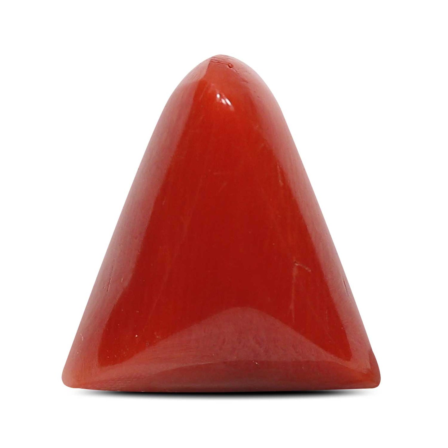 Red Coral (Moonga) - 8.21 Carat