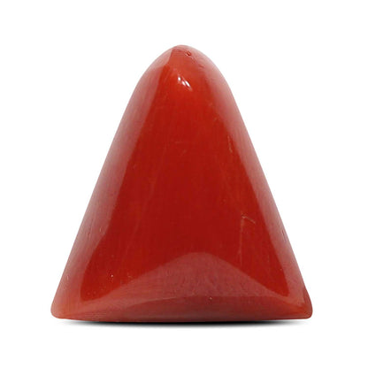 Red Coral (Moonga) - 8.21 Carat