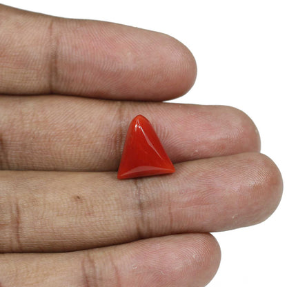 Red Coral (Moonga) - 8.21 Carat