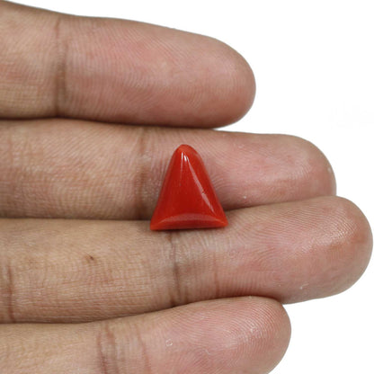 Red Coral (Moonga) - 8.21 Carat