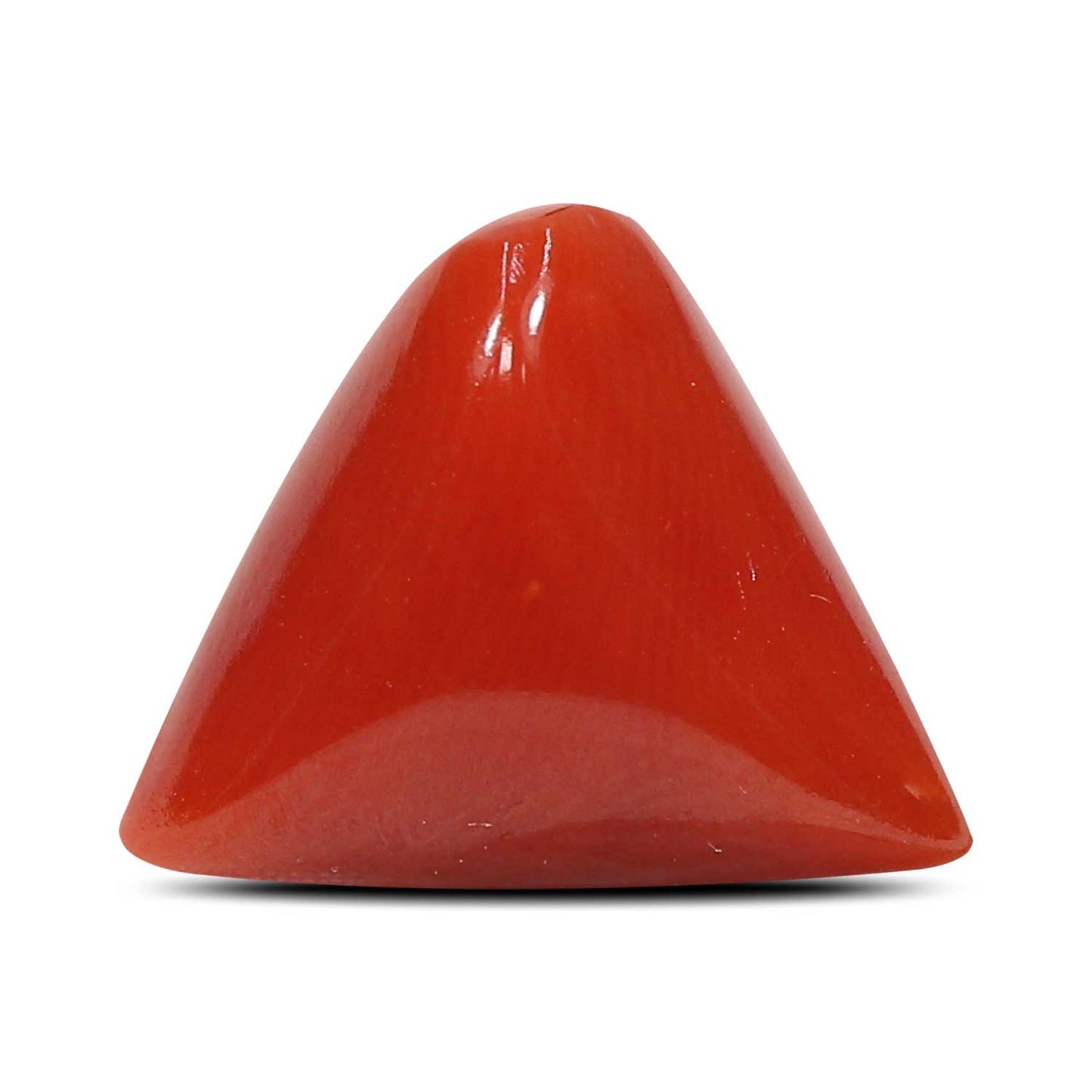Red Coral (Moonga) - 7.67 Carat