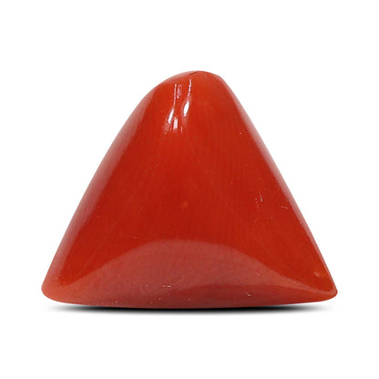 Red Coral (Moonga) - 7.67 Carat