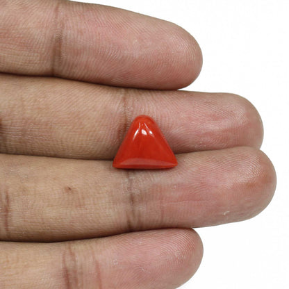 Red Coral (Moonga) - 7.67 Carat