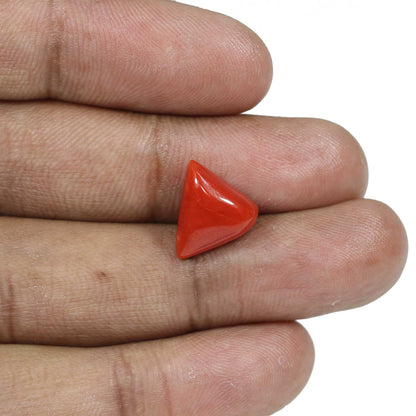 Red Coral (Moonga) - 7.67 Carat