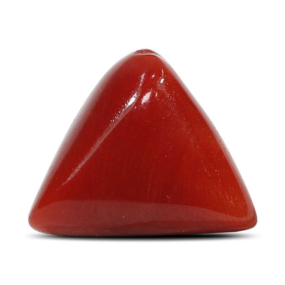 Red Coral (Moonga) - 7.68 Carat